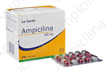 Ampicilina